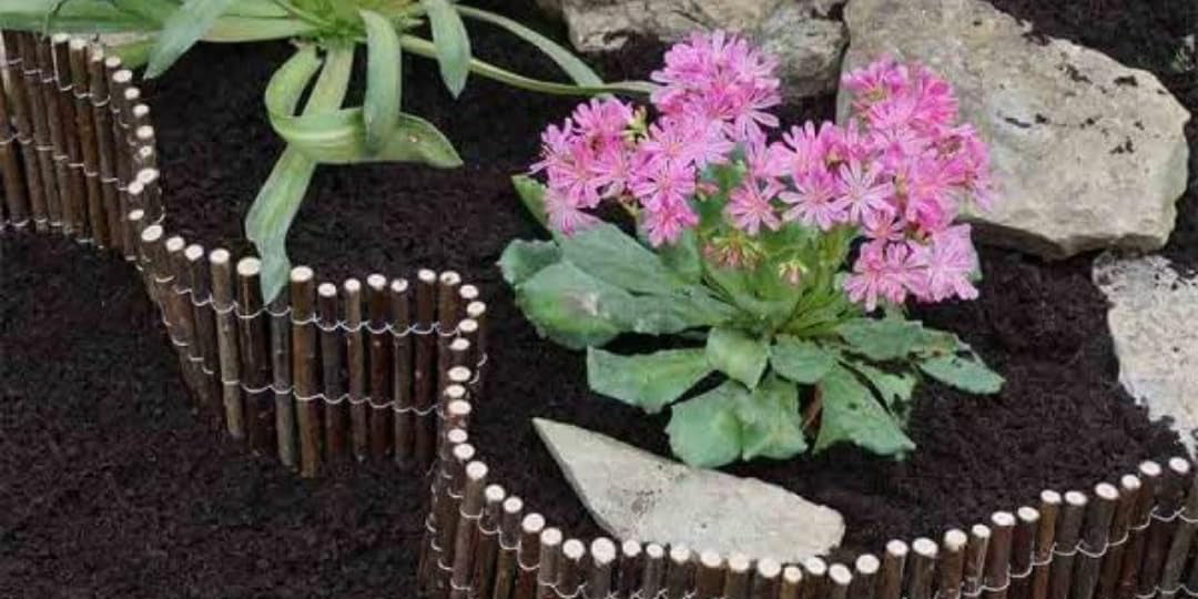 Plant Stands Collection