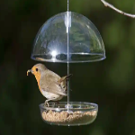 Best Bird Feeder or Bird Table for Attracting Robins and Sparrows