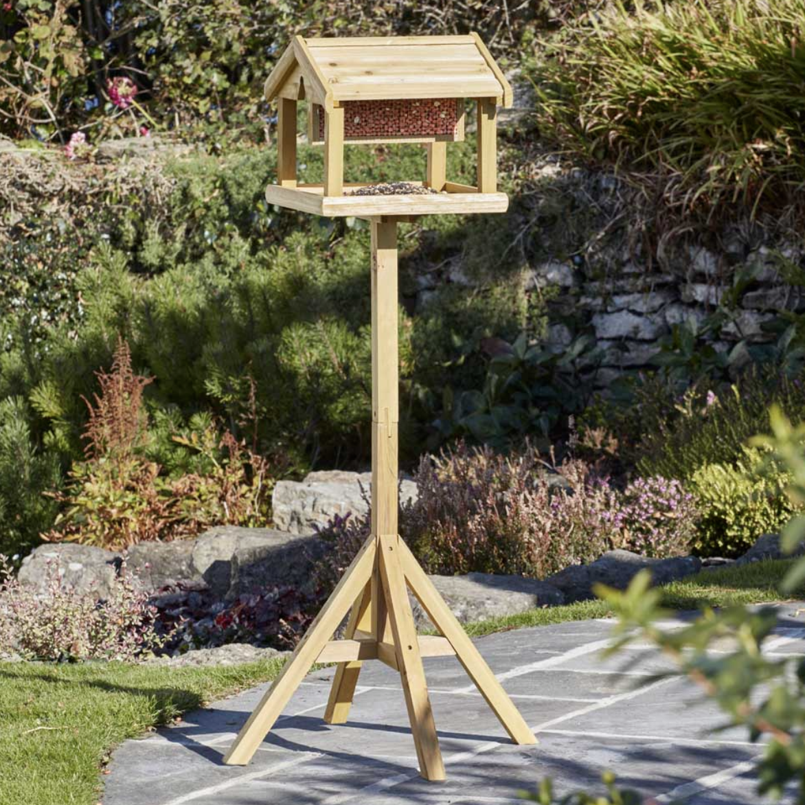 placeholder placeholder