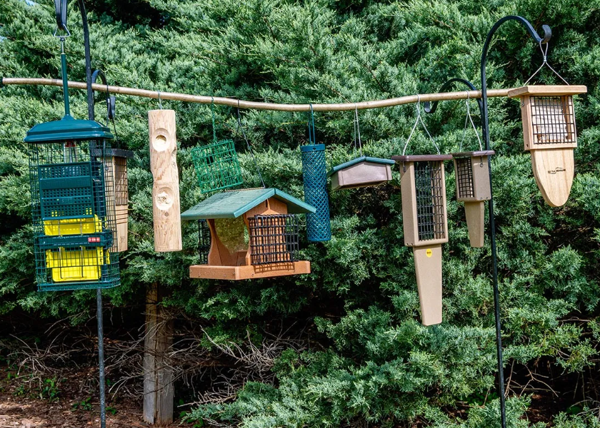 Where to Buy Bird Feeders and Bird Tables in Bulk