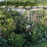 Vertical Gardening Revolution: Using Trellis Panels to Maximize Small Spaces