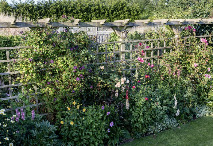 Vertical Gardening Revolution: Using Trellis Panels to Maximize Small Spaces