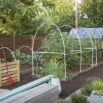 Natural Willow vs Plastic Garden Trellis: Which is Right for Your Garden?