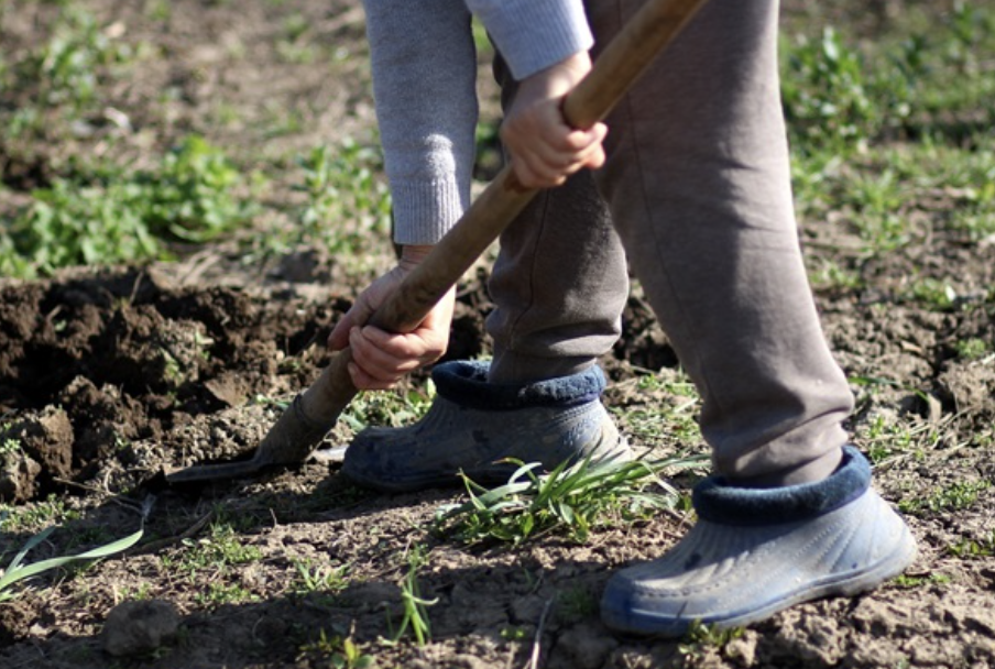 Ergonomic Garden Tools: Why Comfort Matters More Than You Think