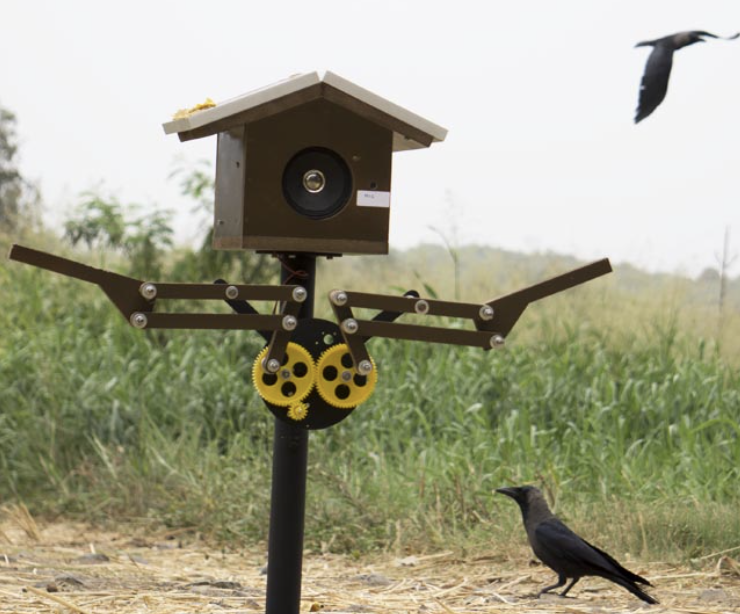 From Scarecrows to Animal Decoys: The Evolution of Garden Bird Control Solutions