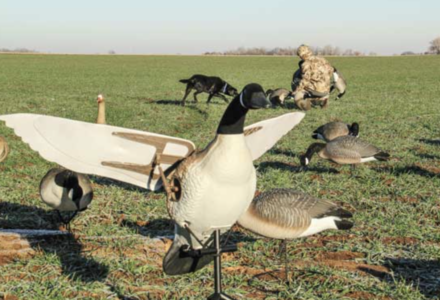 Wind Motion vs Static Animal Decoys: Which Works Better for Outdoor Garden Use?