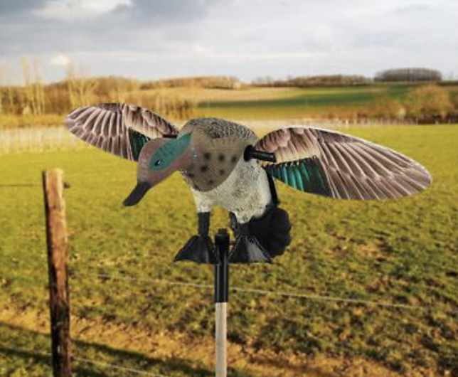 Wholesale Animal Decoys from China: Owl, Duck and Eagle Garden Models for Importers