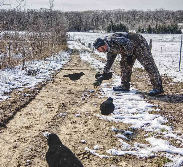 How to Use Animal Decoys to Protect Gardens, Farms and Outdoor Spaces Effectively