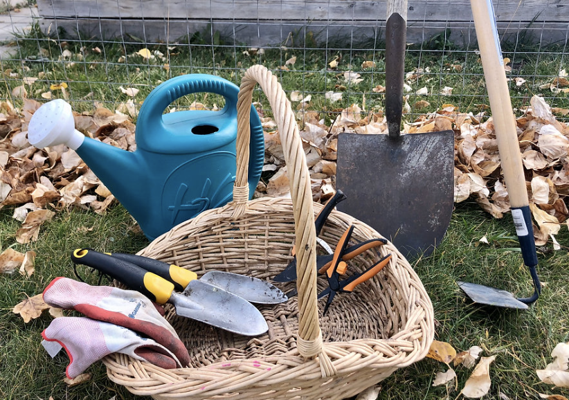 Best Garden Tools Every Home Gardener Needs