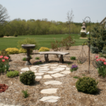 Top 10 Bird Control Solutions for Gardens That Actually Work