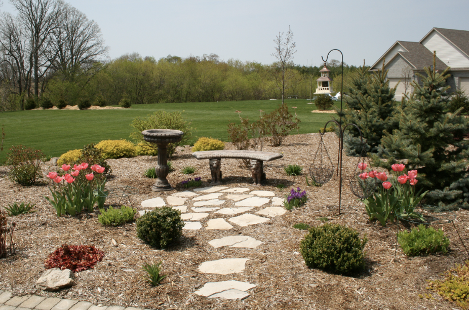 Top 10 Bird Control Solutions for Gardens That Actually Work