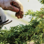 How to Choose a Reliable Garden Products Supplier in China