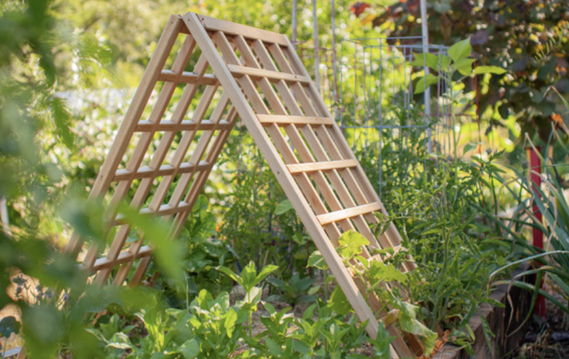 What Is the Most Durable Material for a Garden Trellis?