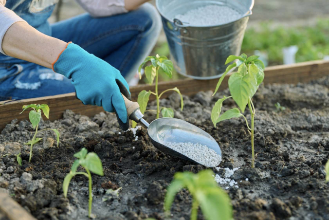 Common Quality Issues in Garden Products and How to Avoid Them