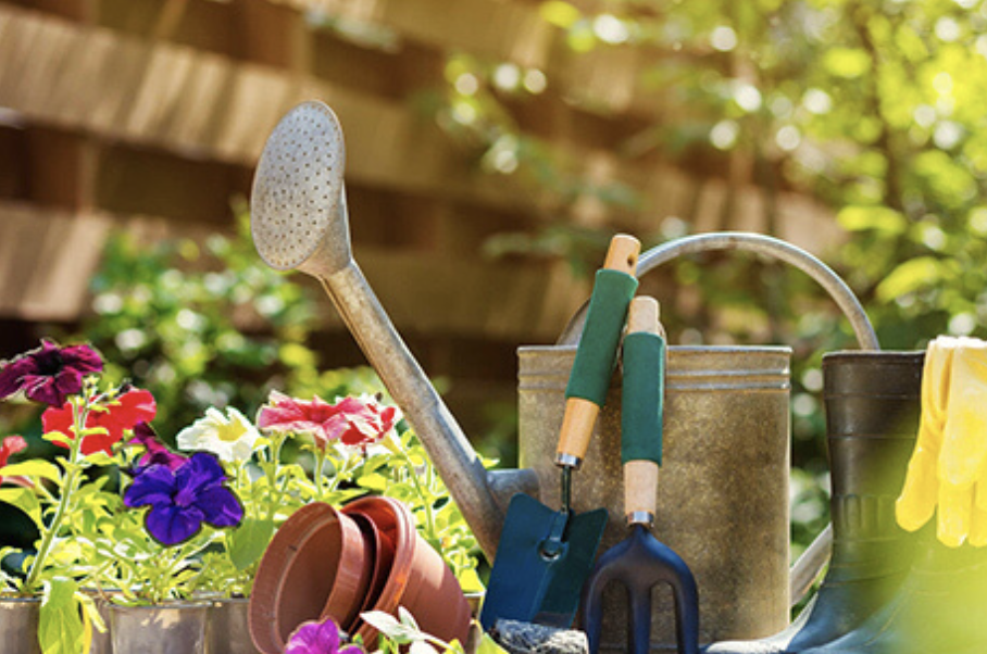 Top Imported Garden Products from China