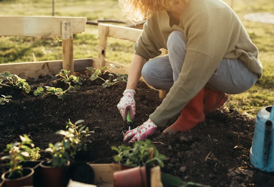 Common Flower Pot Mistakes That Kill Plants