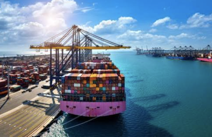 Why Are Imported Goods Inspected and How Can Importers Avoid Delays?