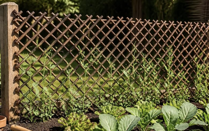 Willow vs Plastic Trellis: Which One Is Better for European Gardens?