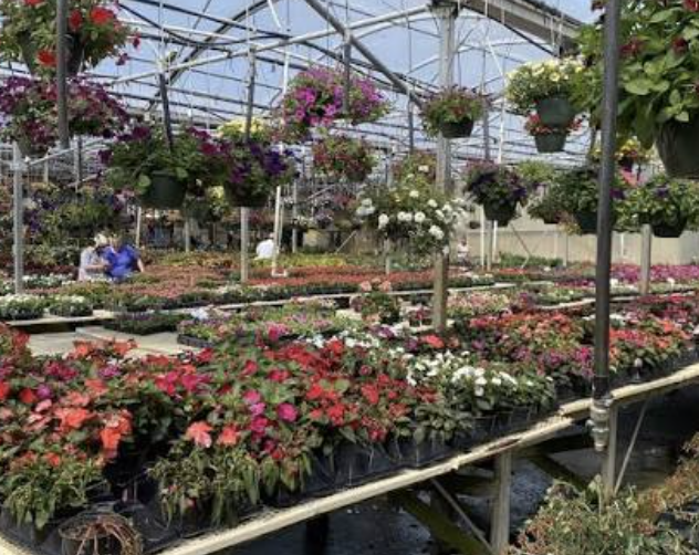 Why The Cheapest Garden Supplier Is Not Always The Best Choice