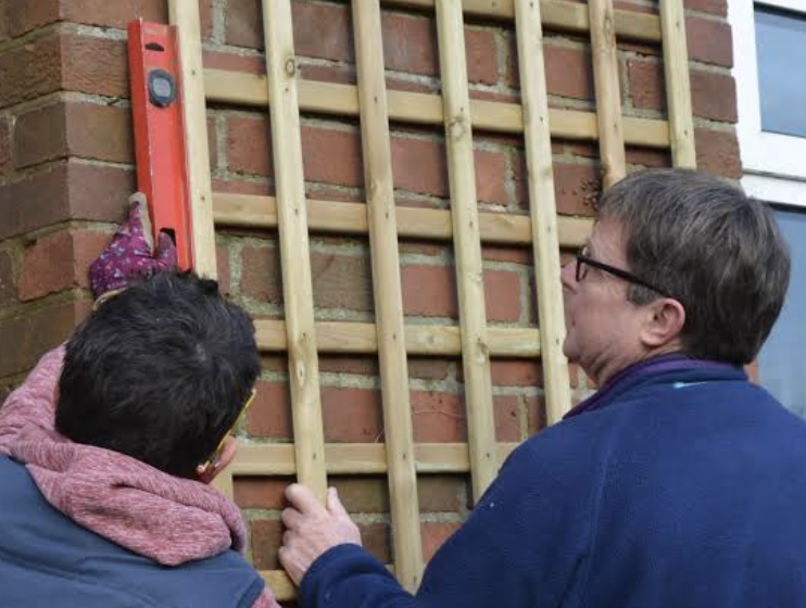 placeholder