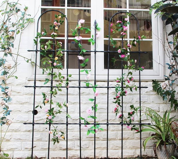 What Size Trellis Do Garden Centres Usually Stock in Europe?