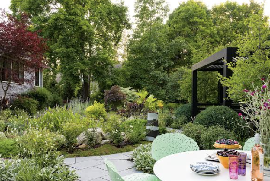 How to Create a Wildlife-Friendly Garden: A Complete Guide
