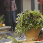 2027 Spring Garden Products: Which Products Should Retailers Keep, Upgrade or Drop?