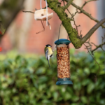 Why Are Bird Feeders Becoming More Than Just a Bird-Feeding Product?